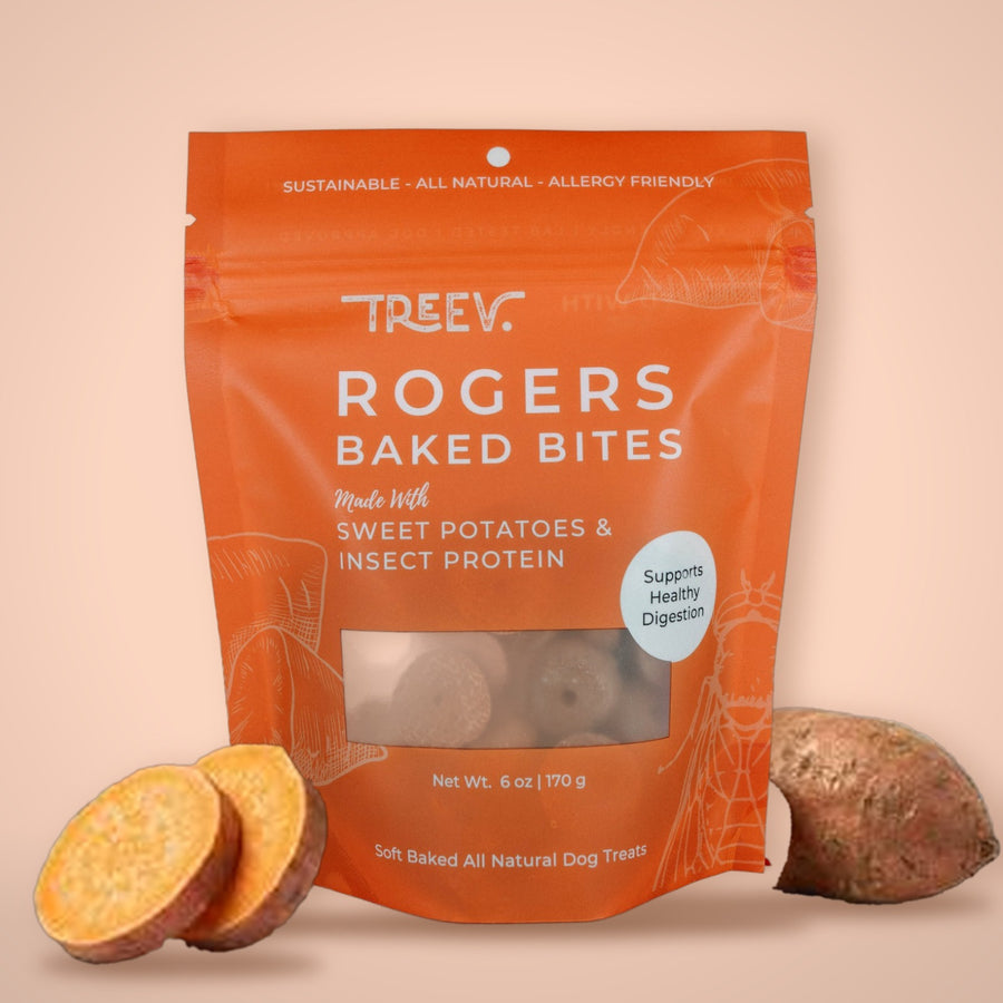 Rogers BUHZ Bites
